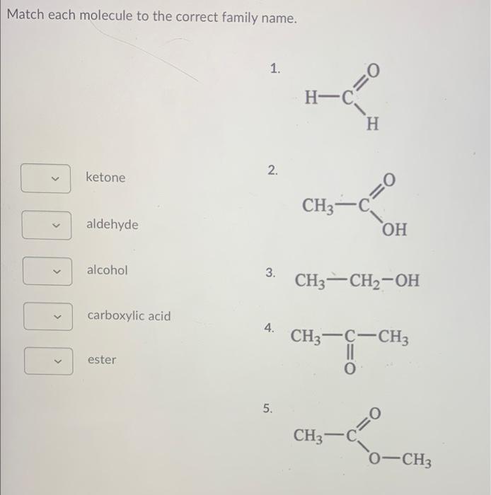 Solved Match each molecule to the correct family name. 1. | Chegg.com