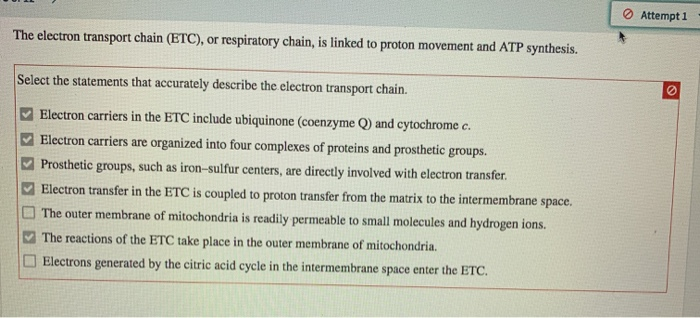 Solved Attempt 1 The electron transport chain (ETC), or | Chegg.com