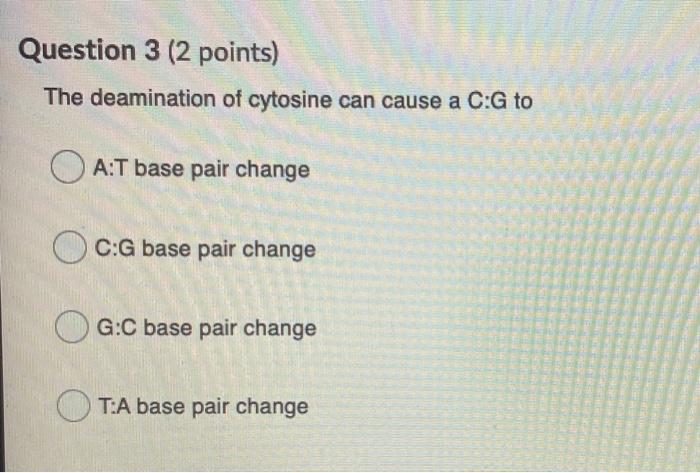 Solved Question 3 (2 points) The deamination of cytosine can | Chegg.com