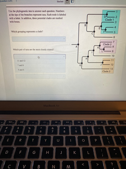 Solved Use The Phylogenetic Tree To Answer Each Question. | Chegg.com