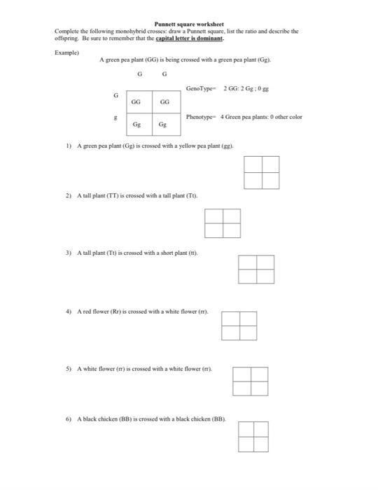 monohybrid cross worksheet