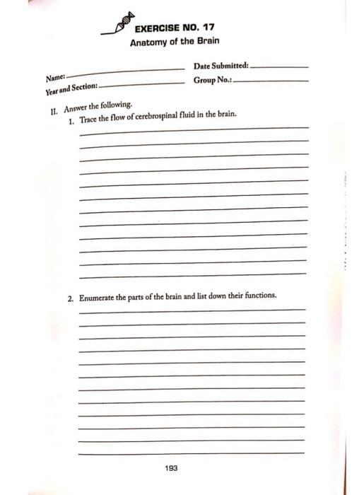 Solved EXERCISE NO. 17 Anatomy of the Brain Name: Year and | Chegg.com