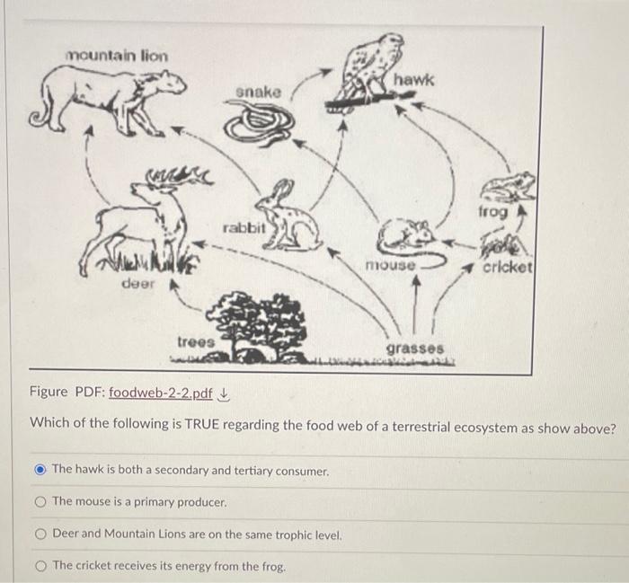Solved Which of the following is TRUE regarding the food web | Chegg.com