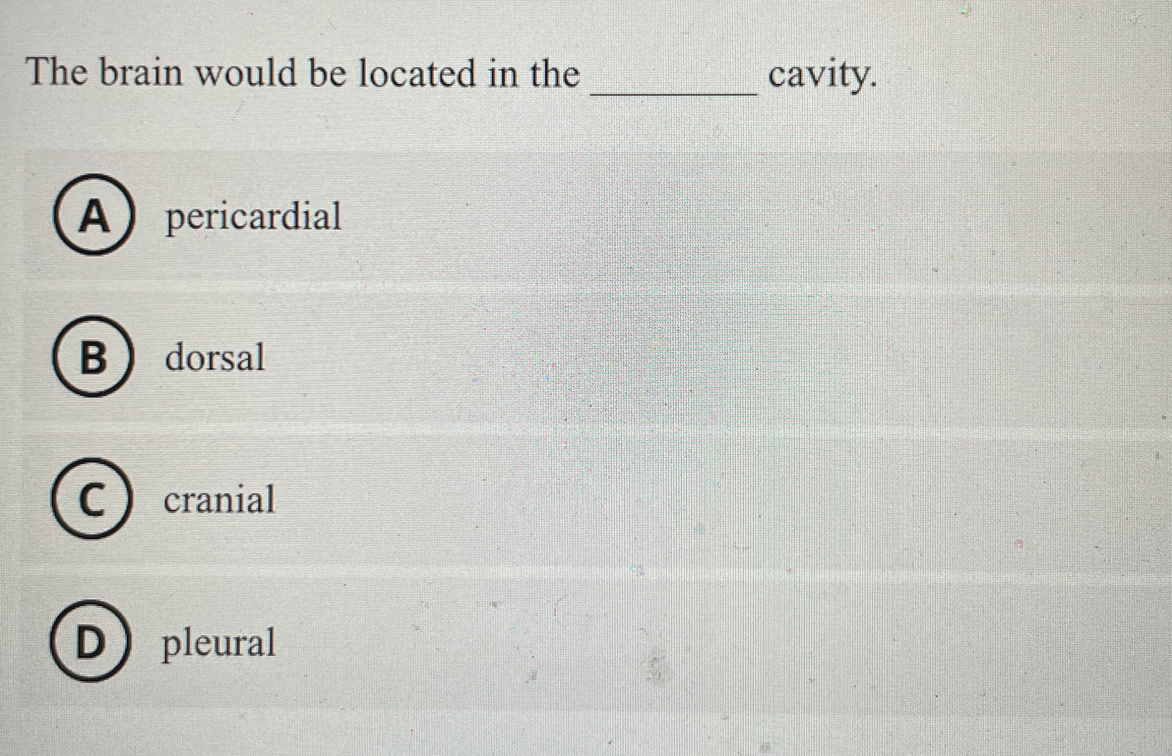 Solved The brain would be located in the ﻿cavity. | Chegg.com