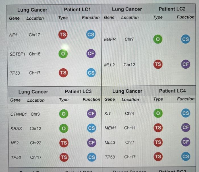 Patient LC2 Lung Cancer Gene Location Patient LC1 | Chegg.com
