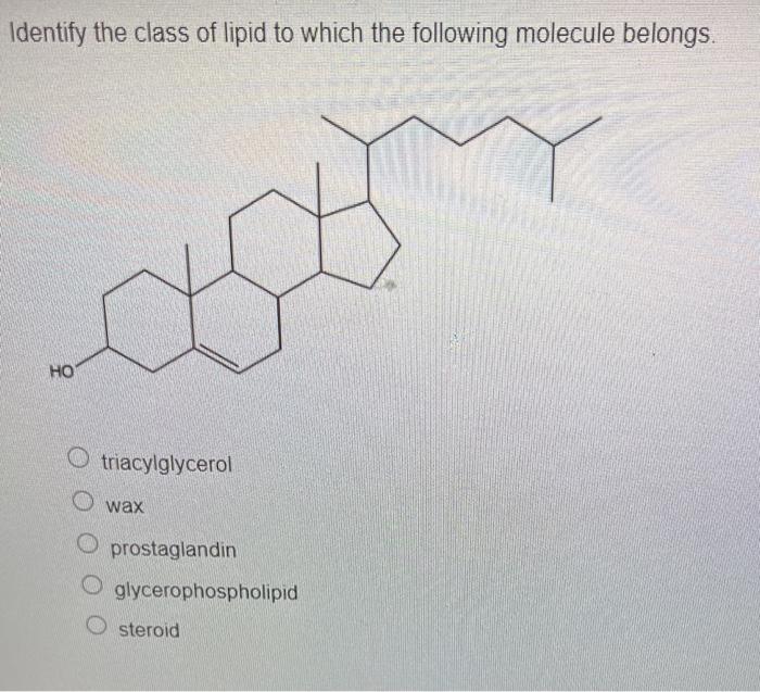 Solved Identify the class of lipid to which the following | Chegg.com