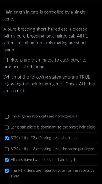 Solved Hair length in cats is controlled by a single gene. A | Chegg.com