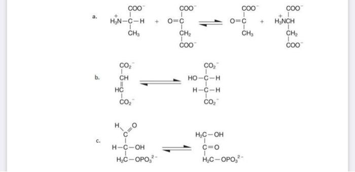 Solved Identify the type of enzyme that catalyzes each of | Chegg.com