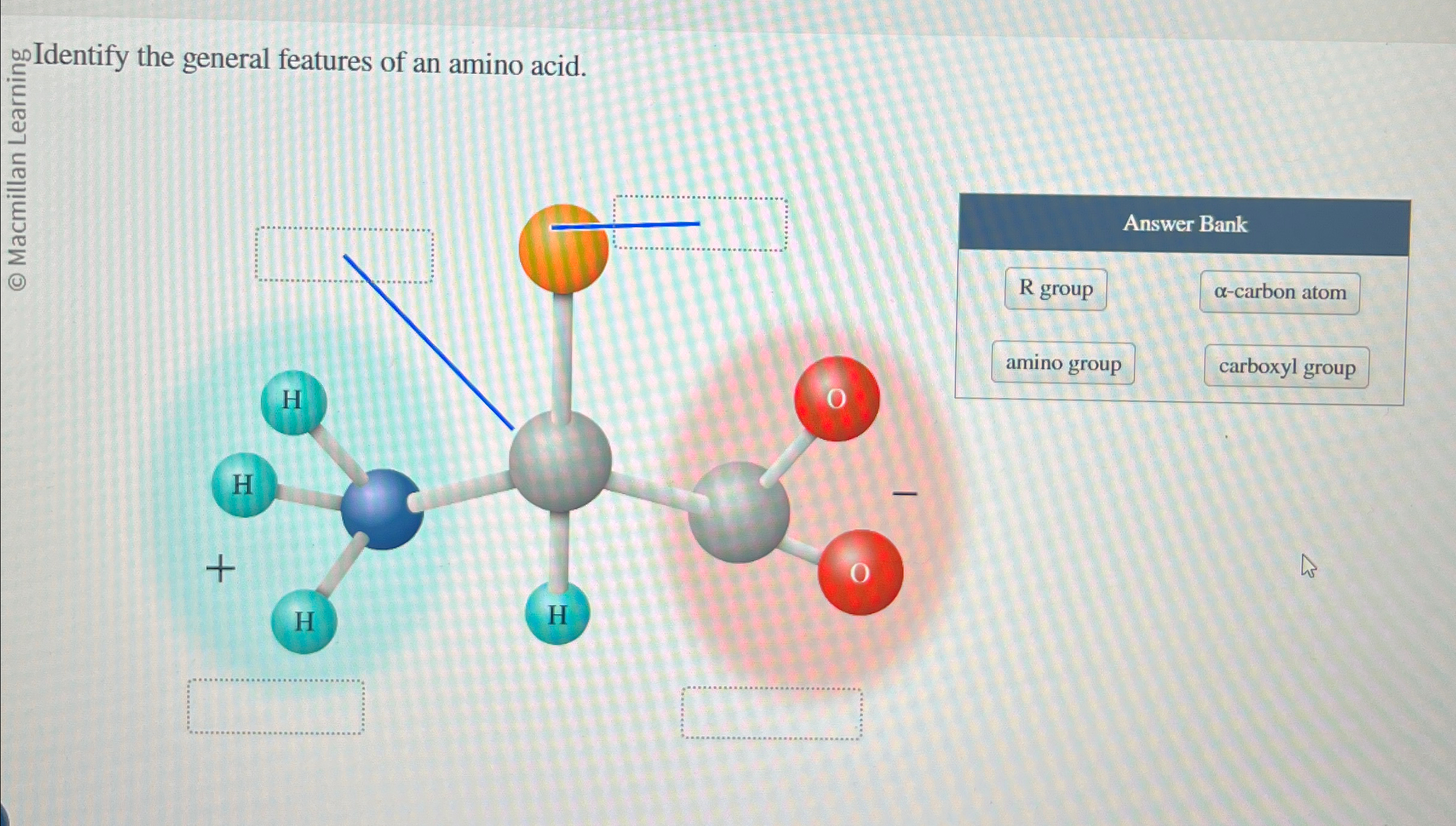 Solved or Identify the general features of an amino acid.(4) | Chegg.com