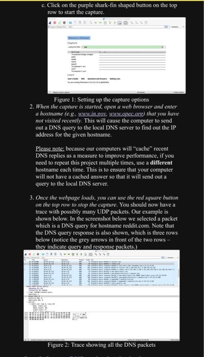 Figure 1: Setting up the capture options
2. When the capture is started, open a web browser and enter \( a \) hostname (e.g.,