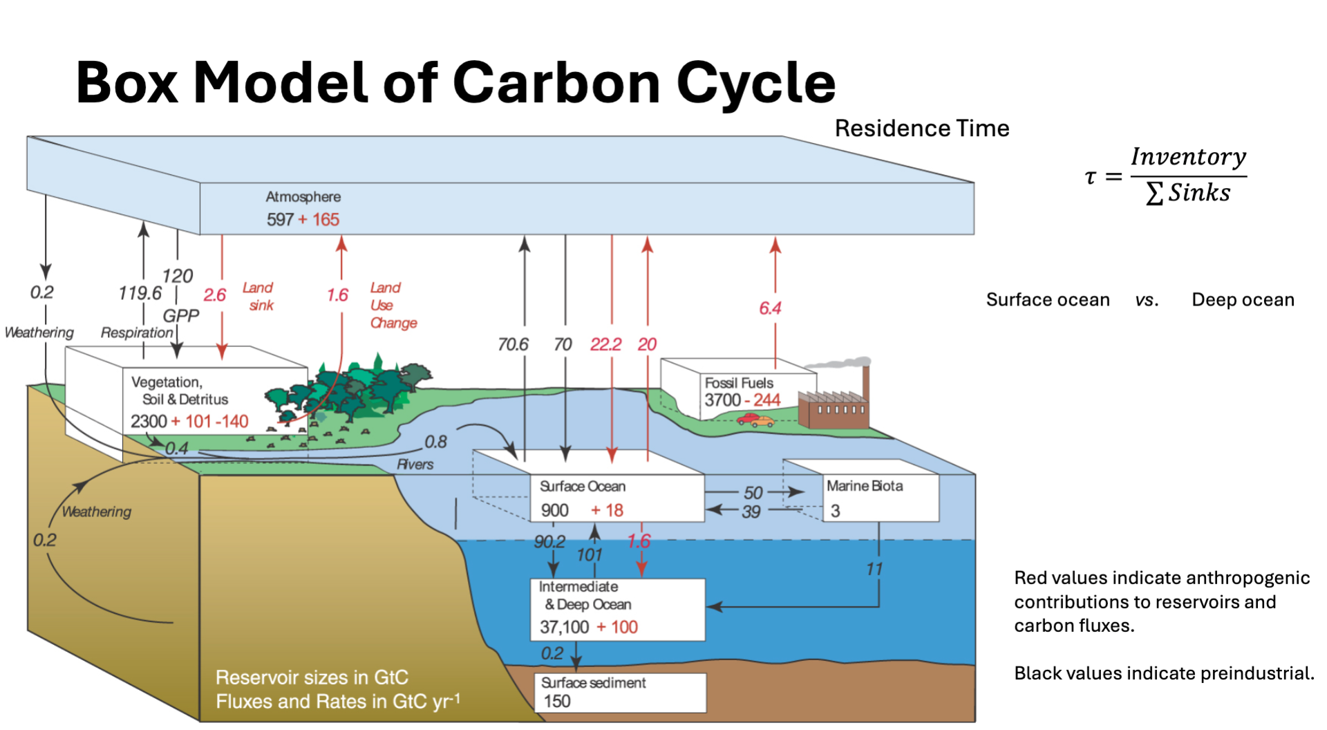 Draw a box model for the Carbon, Nitrogen, | Chegg.com