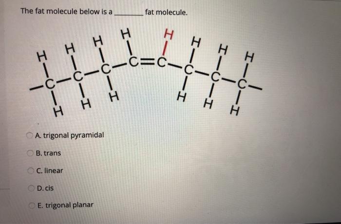Solved The fat molecule below is a _ fat molecule. Н I—0 Hнн | Chegg.com
