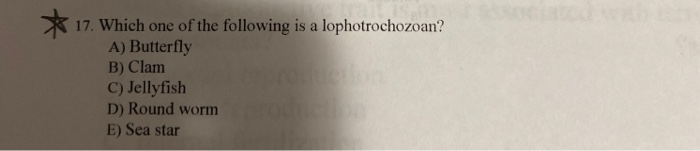 Solved 17. Which One Of The Following Is A Lophotrochozoan? | Chegg.com Solved 17. Which One Of The Following Is A Lophotrochozoan? | Chegg.com