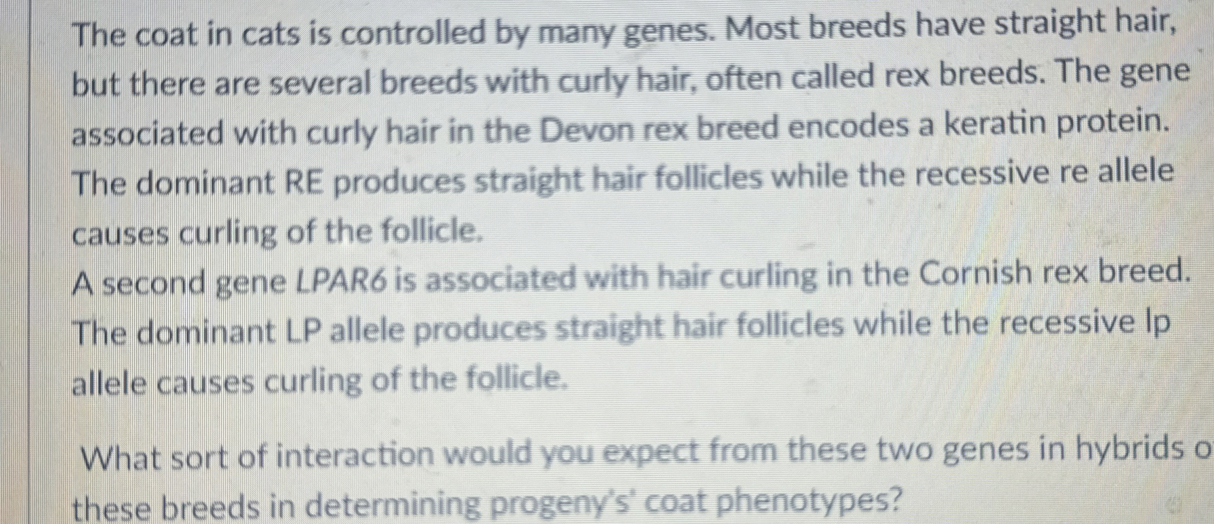 Solved The coat in cats is controlled by many genes. Most