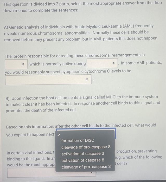Solved The first image is the overall question and the | Chegg.com