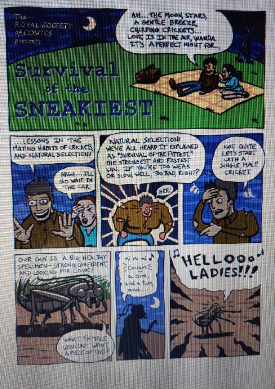 Solved Assignment: Evolution Comic Strip Pick a species of | Chegg.com