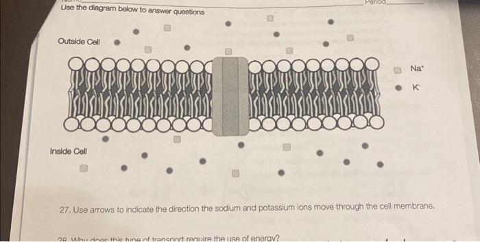Solved label the diagrams as osmosis or diffusion and draw | Chegg.com
