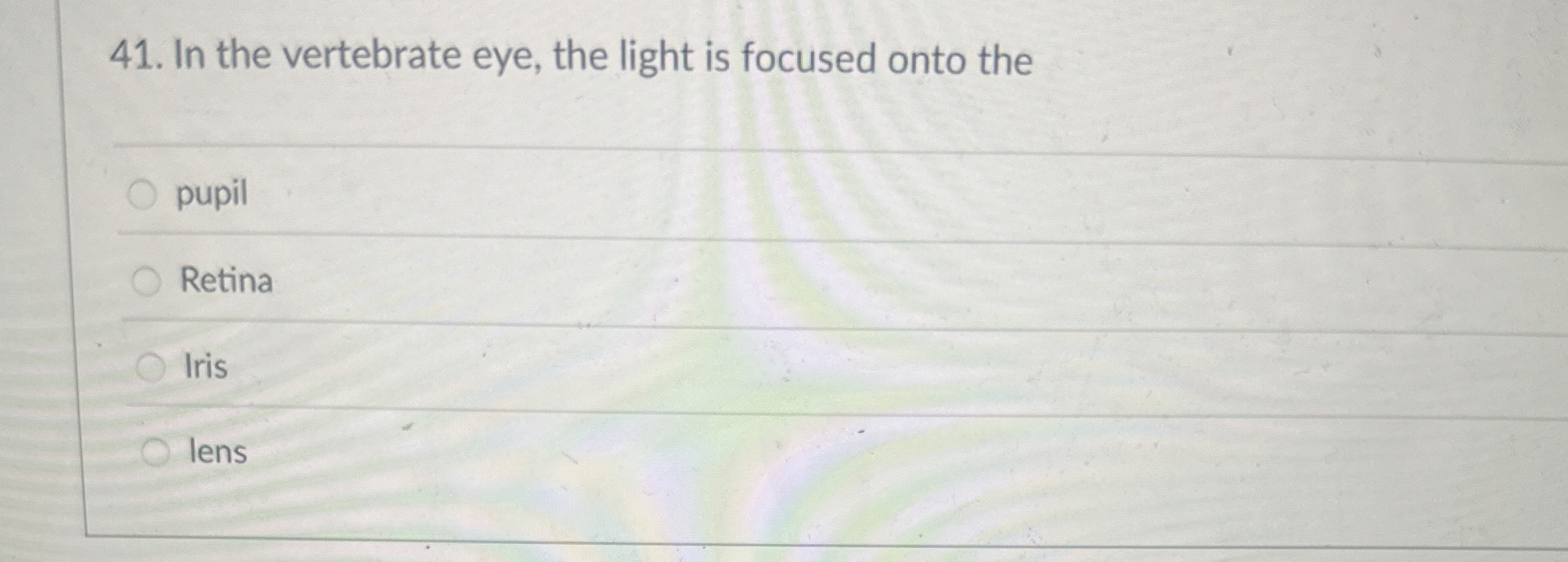 light is focused onto the retina by the