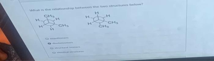Solved What is the relationship between the two structures | Chegg.com