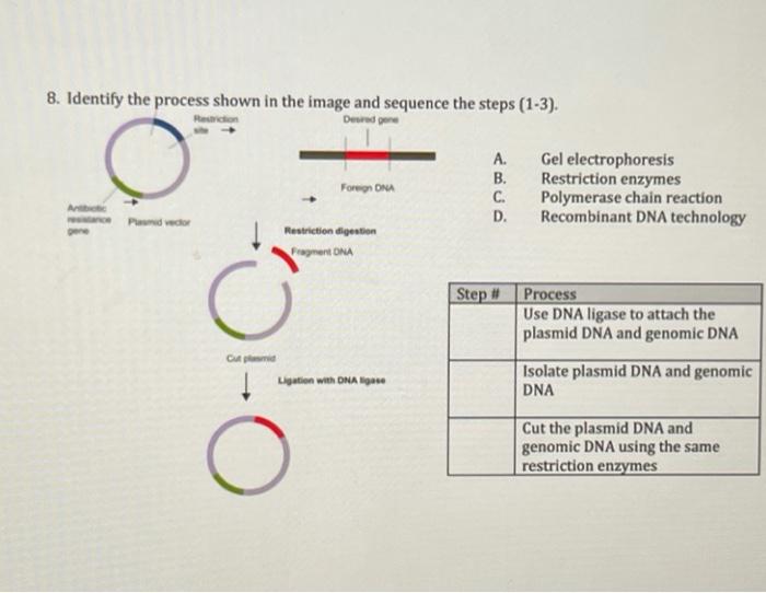 Solved Subtopic 3.2 DNA Technology 1. How are genetic | Chegg.com