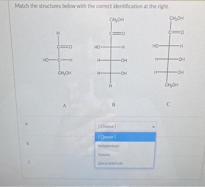 Solved Match the structures below with the correct | Chegg.com