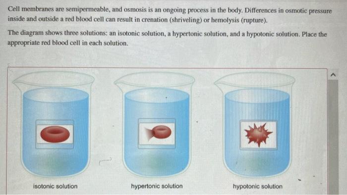 Solved Assuming equal concentrations and complete | Chegg.com