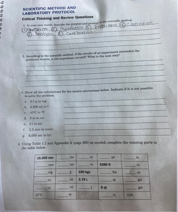 Solved SCIENTIFIC METHOD AND LABORATORY PROTOCOL Critical | Chegg.com