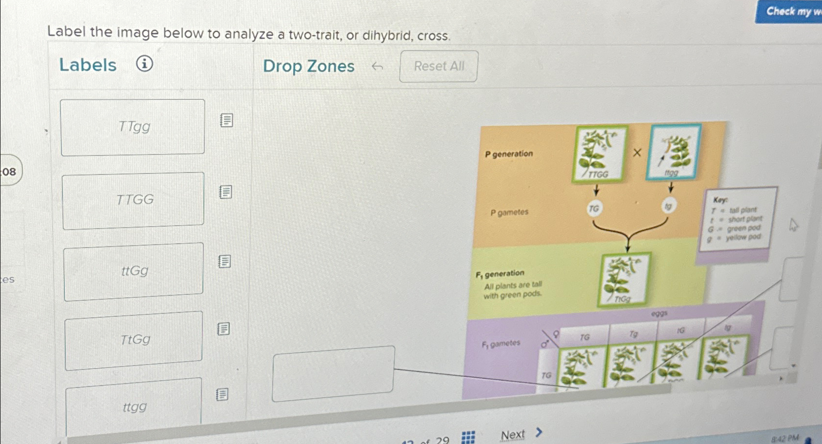 Label the image below to analyze a twotrait, or