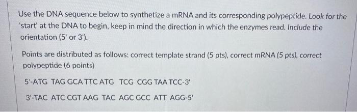 Solved Use the DNA sequence below to synthetize a mRNA and | Chegg.com