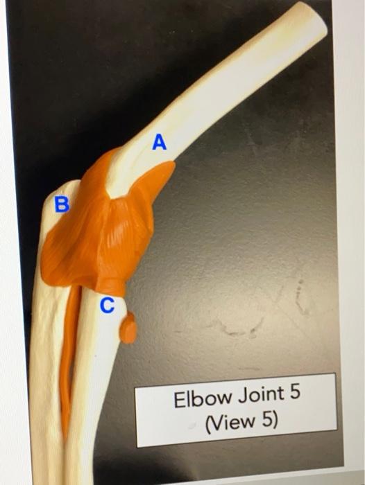 Solved A B C Elbow Joint 5 (View 5) | Chegg.com