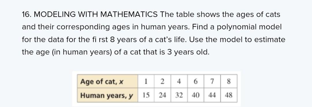 Cat years outlet table