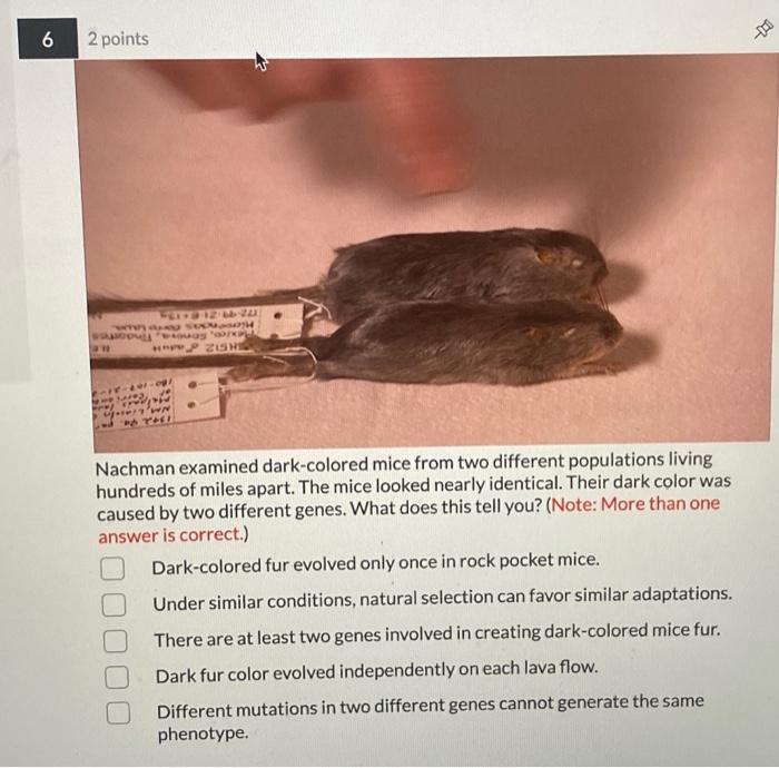 1 1 point Why did darkcolored rock pocket mice first