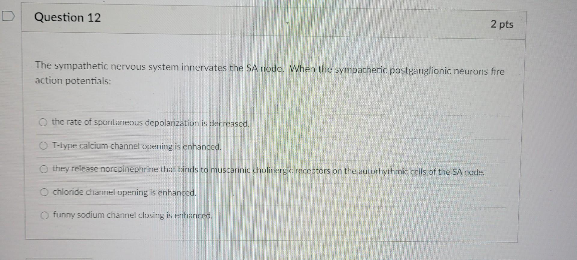 Solved Question 10 2 pts The depolarization or rising phase | Chegg.com