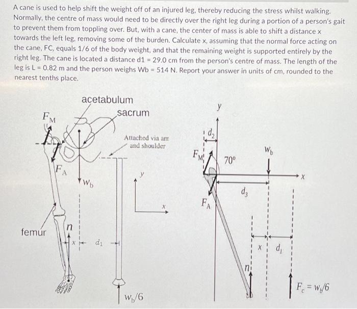 Solved A cane is used to help shift the weight off of an | Chegg.com