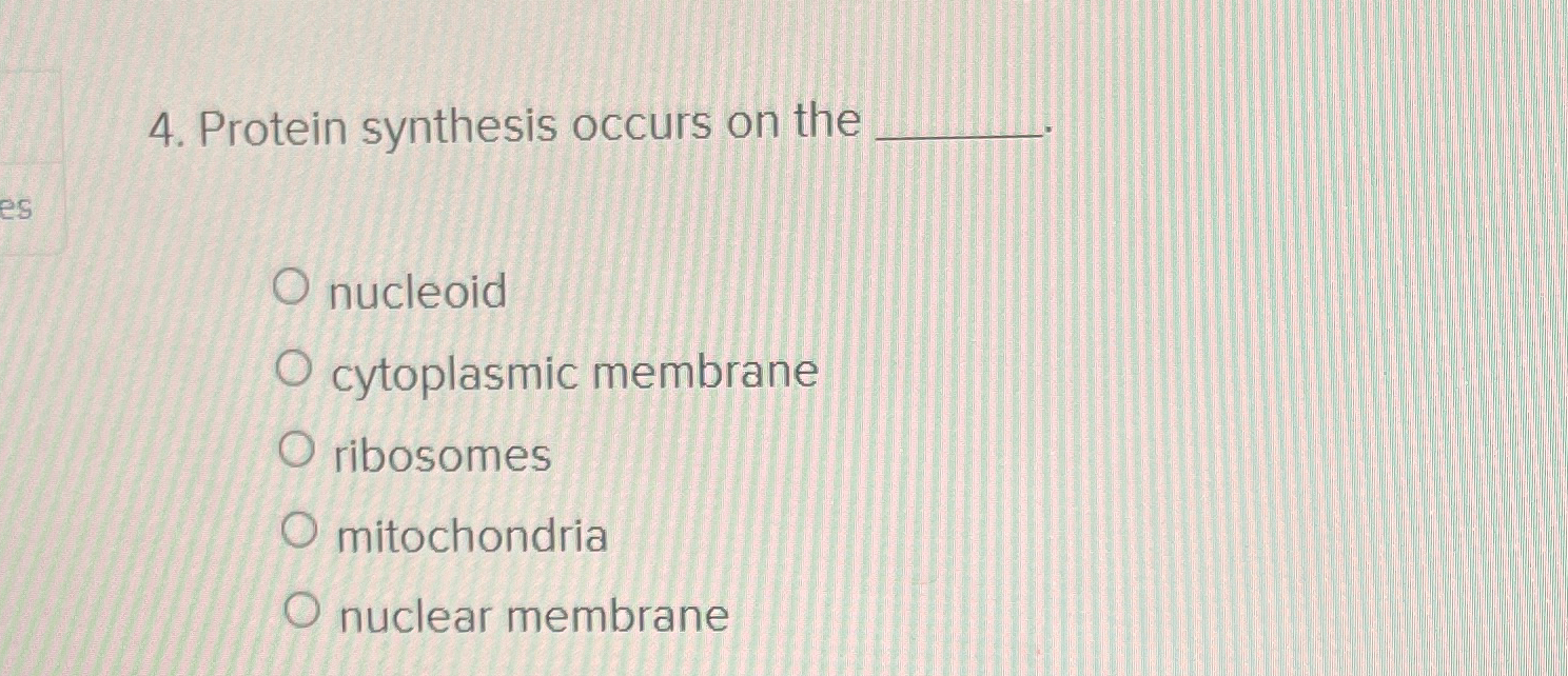 Solved Protein synthesis occurs on the nucleoidcytoplasmic | Chegg.com