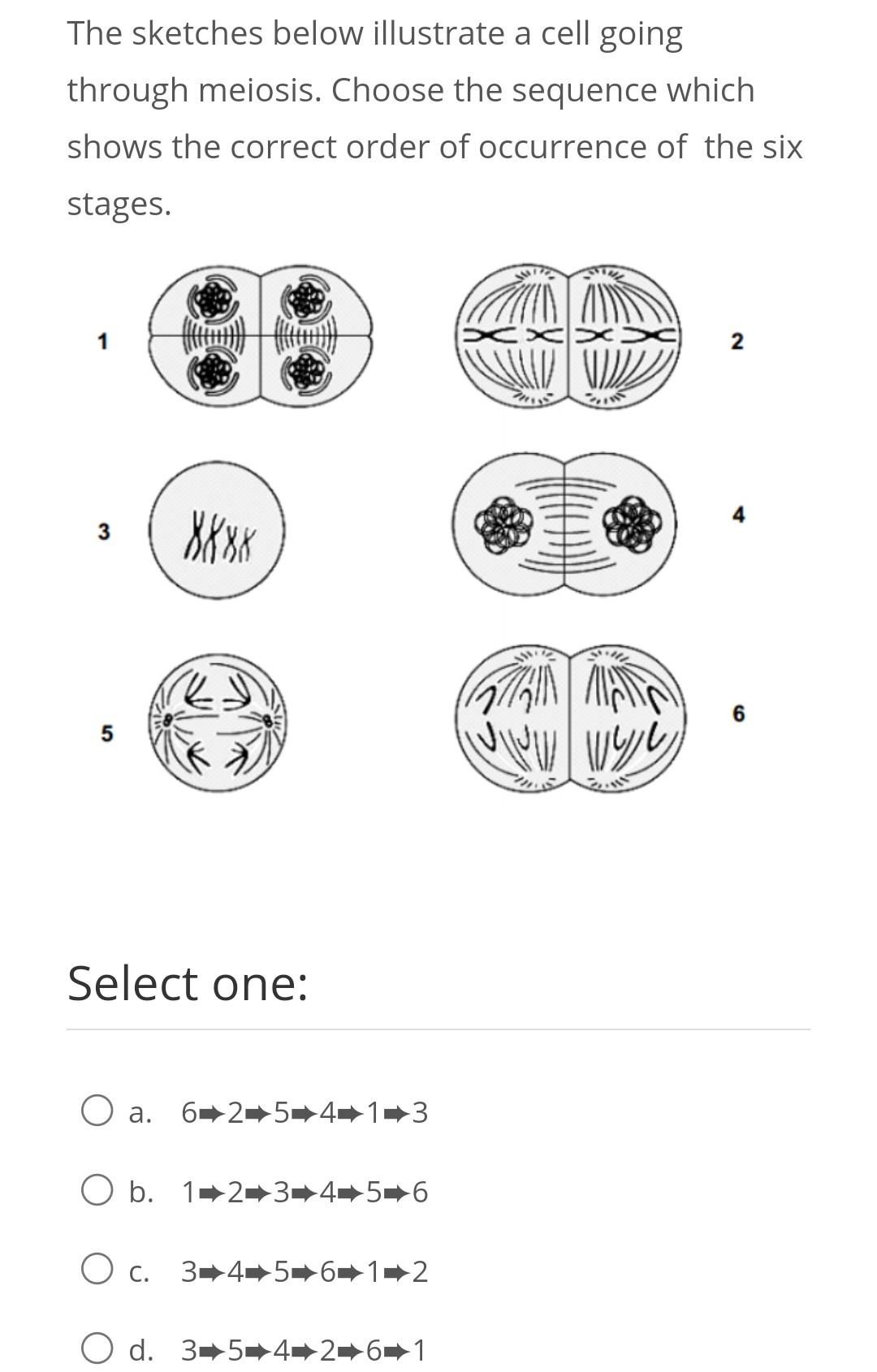 Solved The sketches below illustrate a cell going through | Chegg.com