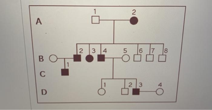 Solved The pedigree chart below is for a family, some of | Chegg.com