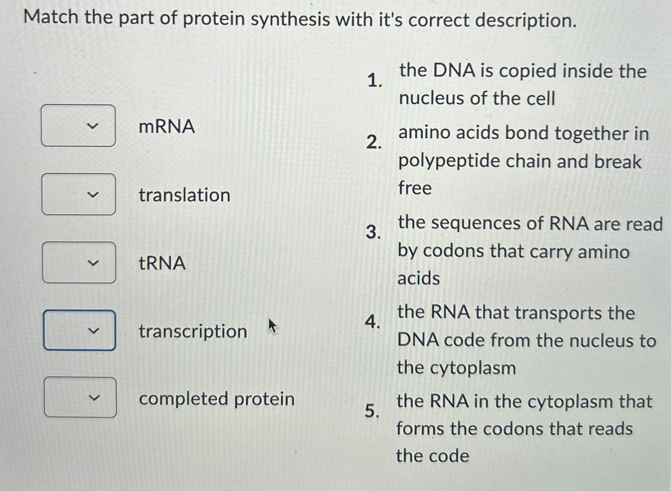 Solved Match the part of protein synthesis with it's correct