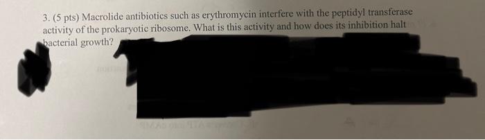 Solved 3 5pts Macrolide Antibiotics Such As Erythromycin Chegg Com   Image