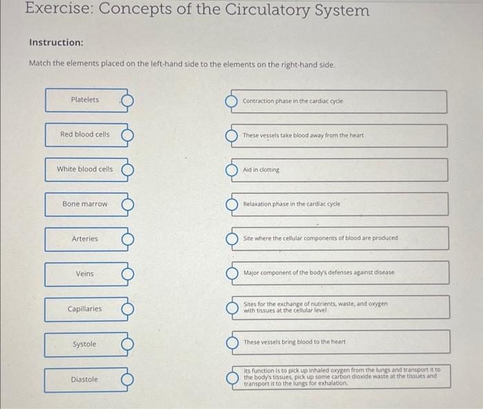 exercise-concepts-of-the-circulatory-system-chegg