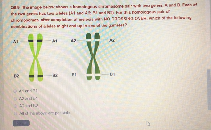 Solved: Q6.9. The Image Below Shows A Homologous Chromosom... | Chegg.com