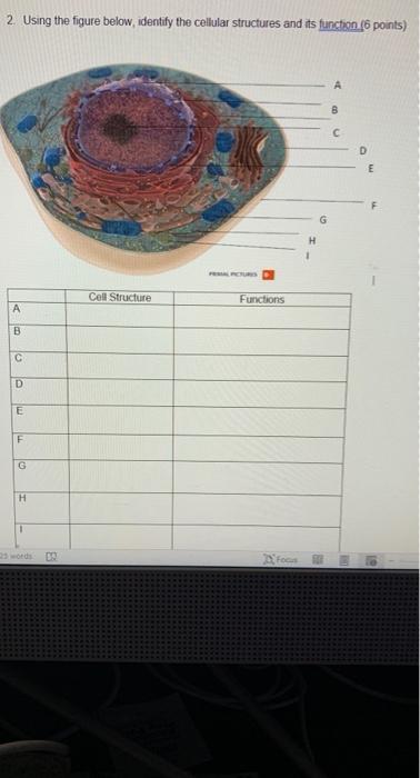 Solved 2. Using the figure below, identify the cellular | Chegg.com
