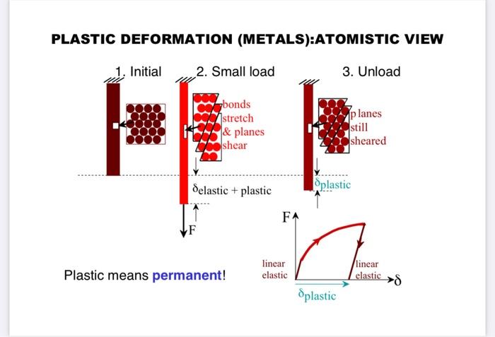 Solved ELASTIC DEFORMATION: ATOMISTIC VIEW 1. Initial 2. | Chegg.com
