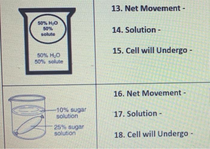 Solved 4. Net Movement - 45% HO 55% solute 5. Solution - 6. | Chegg.com