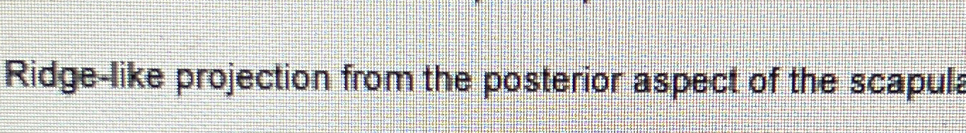 Solved Ridge-like projection from the posterior aspect of | Chegg.com