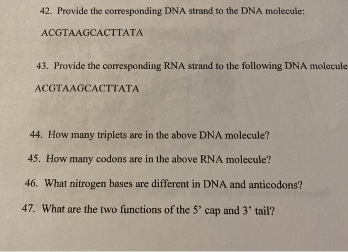 Solved 42. Provide the corresponding DNA strand to the DNA