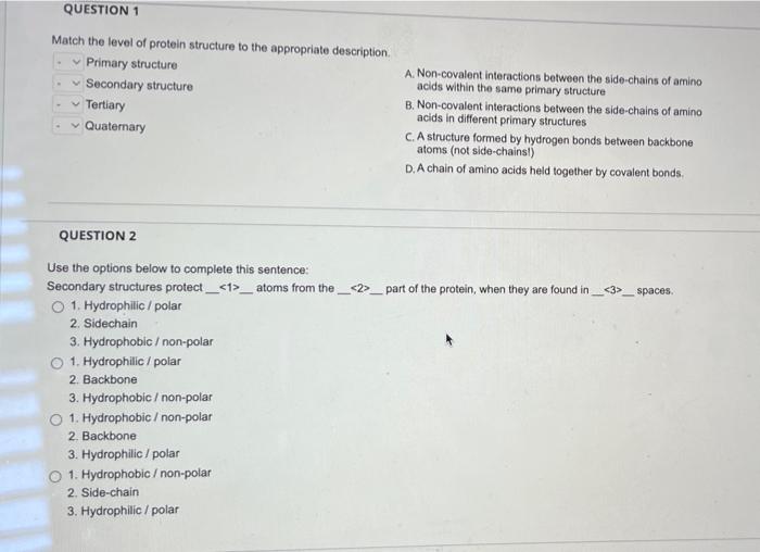 Solved 3 Match The Protein Structure Level To Its Image Chegg Com
