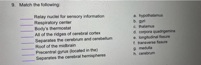 Solved Relay nuclei for sensory information a. hypothalamus | Chegg.com