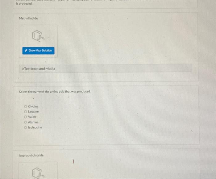Methyl lodide
eTextbook and Media
Select the name of the amino acid that was produced:
Gilycine
Lecicine
Valine
Alanine
Isole