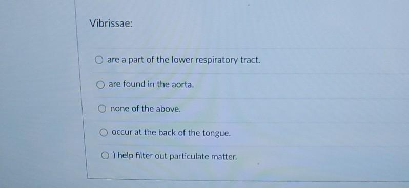 Vibrissae: are a part of the lower respiratory tract. O are found in the aorta. none of the above. occur at the back of the t